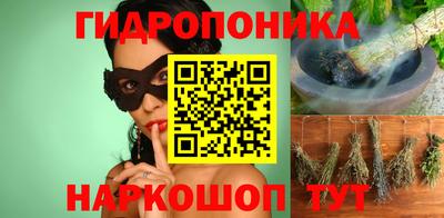 амф Новодвинск